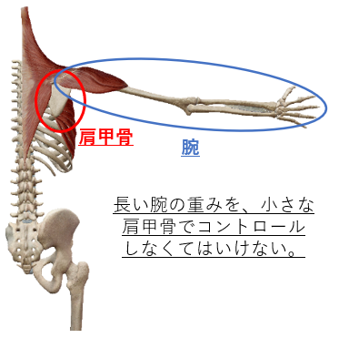 脳梗塞と片麻痺 手のリハビリによる改善に必要なこと お知らせ 公式 脳梗塞リハビリbot静岡 片麻痺 しびれ等 脳梗塞の後遺症改善